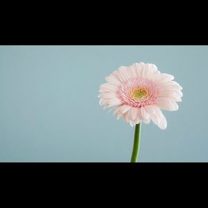 Meet your Posher, Lupita